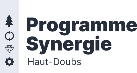 logo programme synergie 